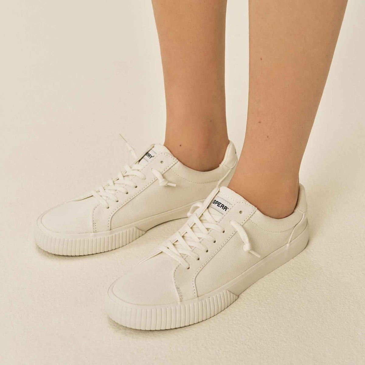 Bermuda SeaCycled™ Canvas Sneaker White | Sperry
