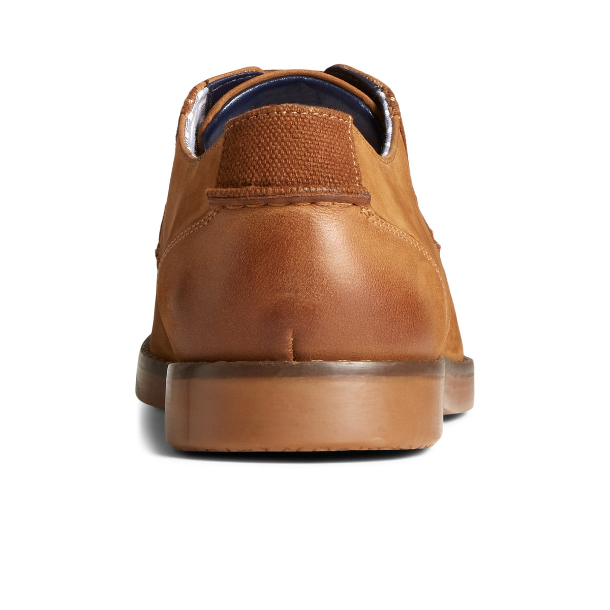Newman Oxford Dress Shoe Medium Beige - 2 | Sperry