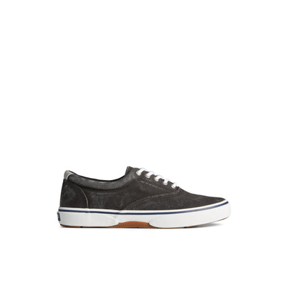 Halyardcvost Black Men's Sneakers | Sperry