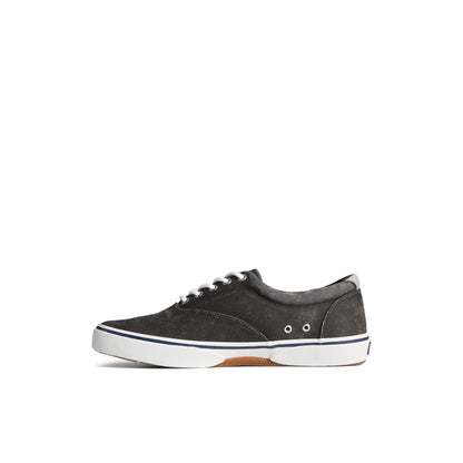 Halyardcvost Black Men's Sneakers | Sperry