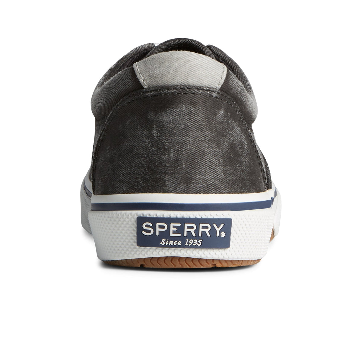 Halyardcvost Black Men's Sneakers | Sperry