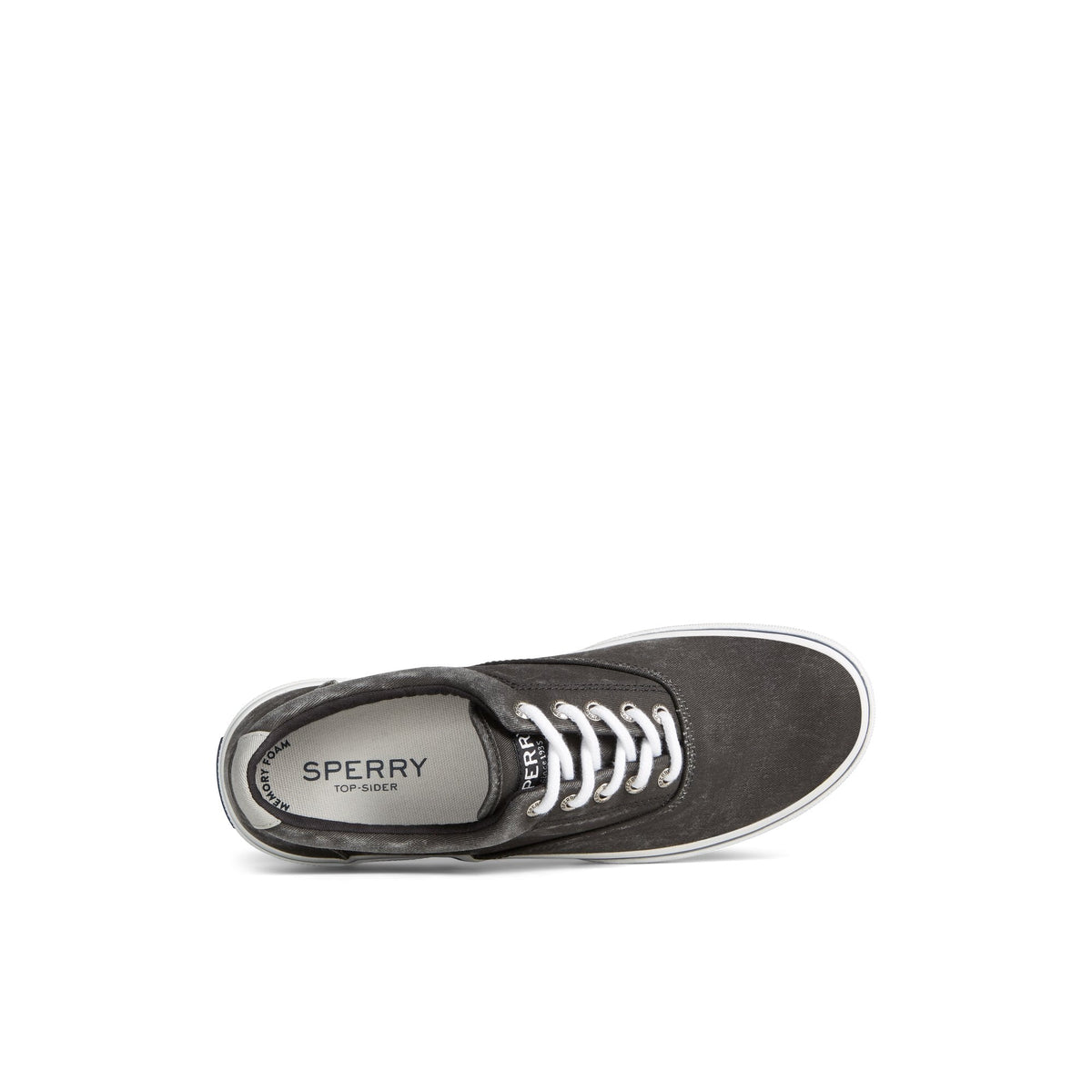 Halyardcvost Black Men's Sneakers | Sperry