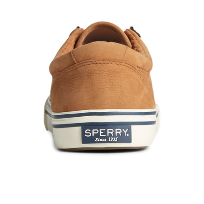 Striper II Storm CVO Waterproof Leather Sneaker | Sperry