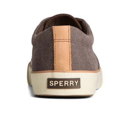 Striper II Washed Canvas CVO Sneaker Brown | Sperry
