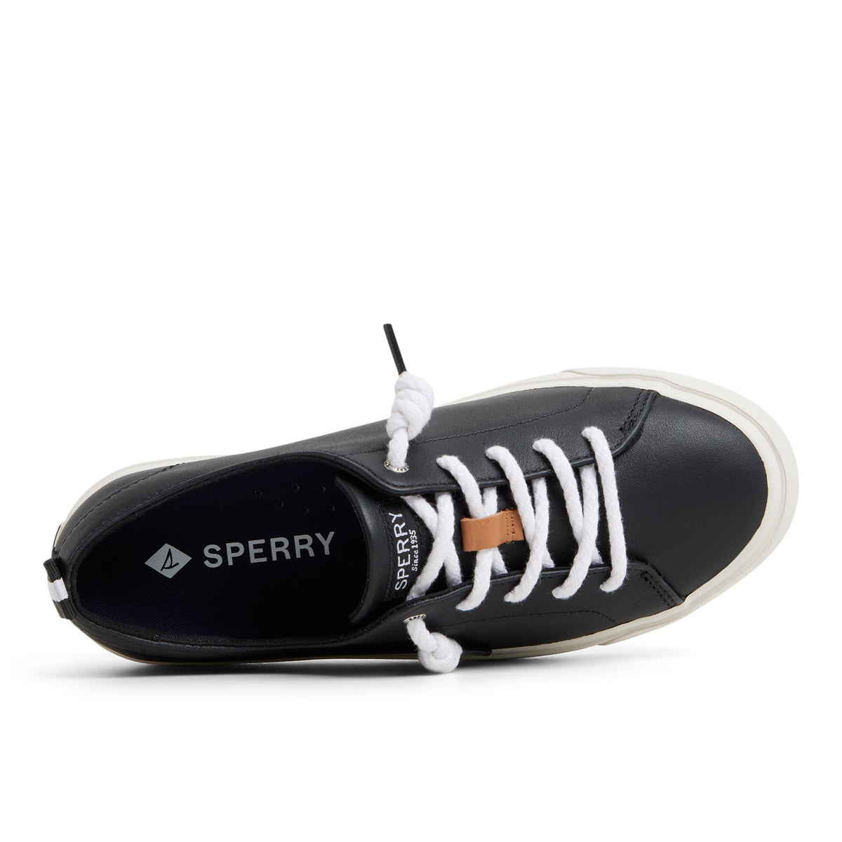Cove Lace to Toe Sneaker Black | Sperry