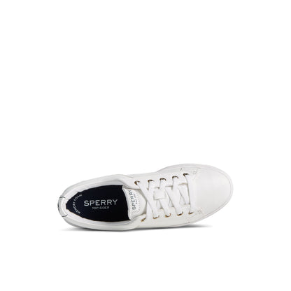 Charter Lace to Toe Sneaker | Sperry